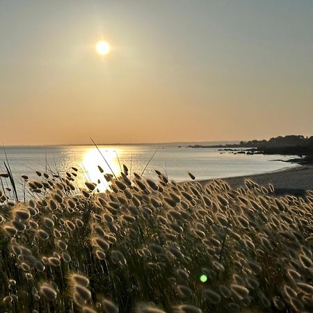 Les Suites De Bougainville Concarneau Exteriör bild